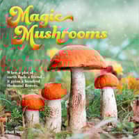 image Magic Mushrooms 2026 Wall Calendar Main Product Image