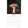 image Magic Mushrooms 2026 Wall Calendar Second Alternate Image