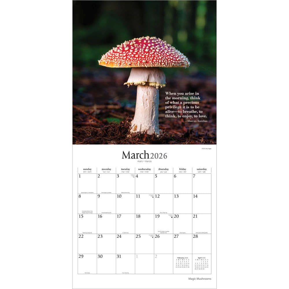 Magic Mushrooms 2026 Wall Calendar Second Alternate Image