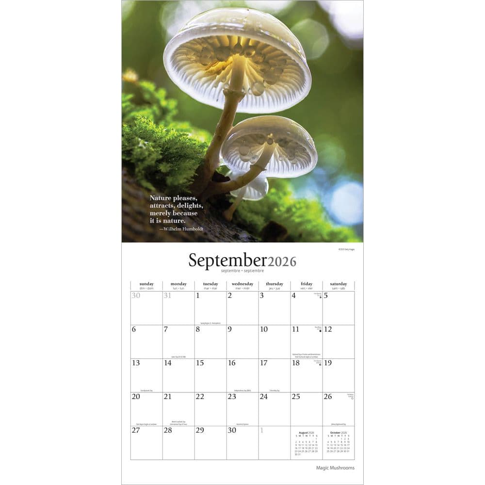 Magic Mushrooms 2026 Wall Calendar Third Alternate Image