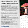image Magic Mushrooms 2026 Wall Calendar Fifth Alternate Image