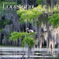 image Louisiana 2026 Wild and Scenic 2026 Wall Calendar Main Product Image