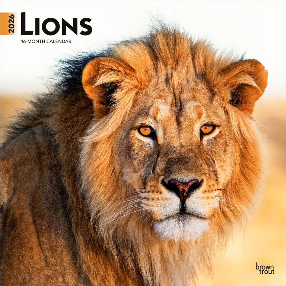 Lions 2026 Wall Calendar Main Product Image
