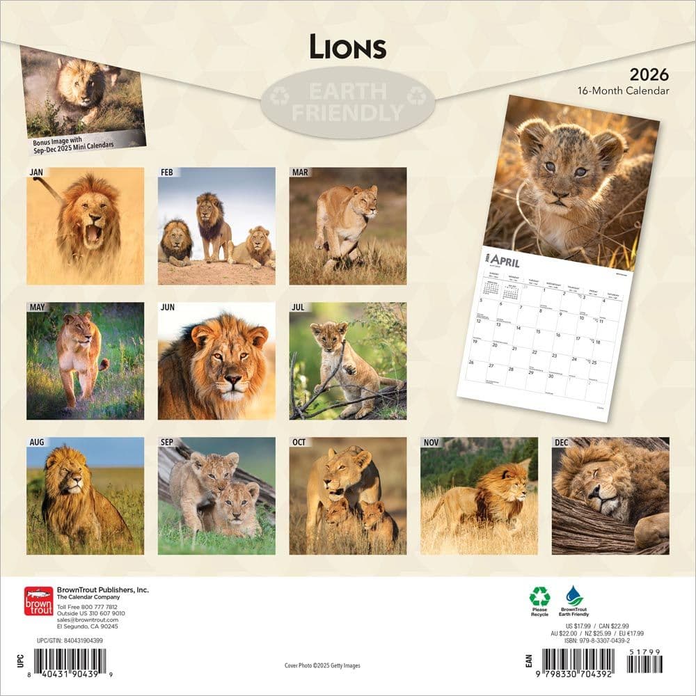 Lions 2026 Wall Calendar First Alternate Image