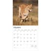 image Lions 2026 Wall Calendar Second Alternate Image