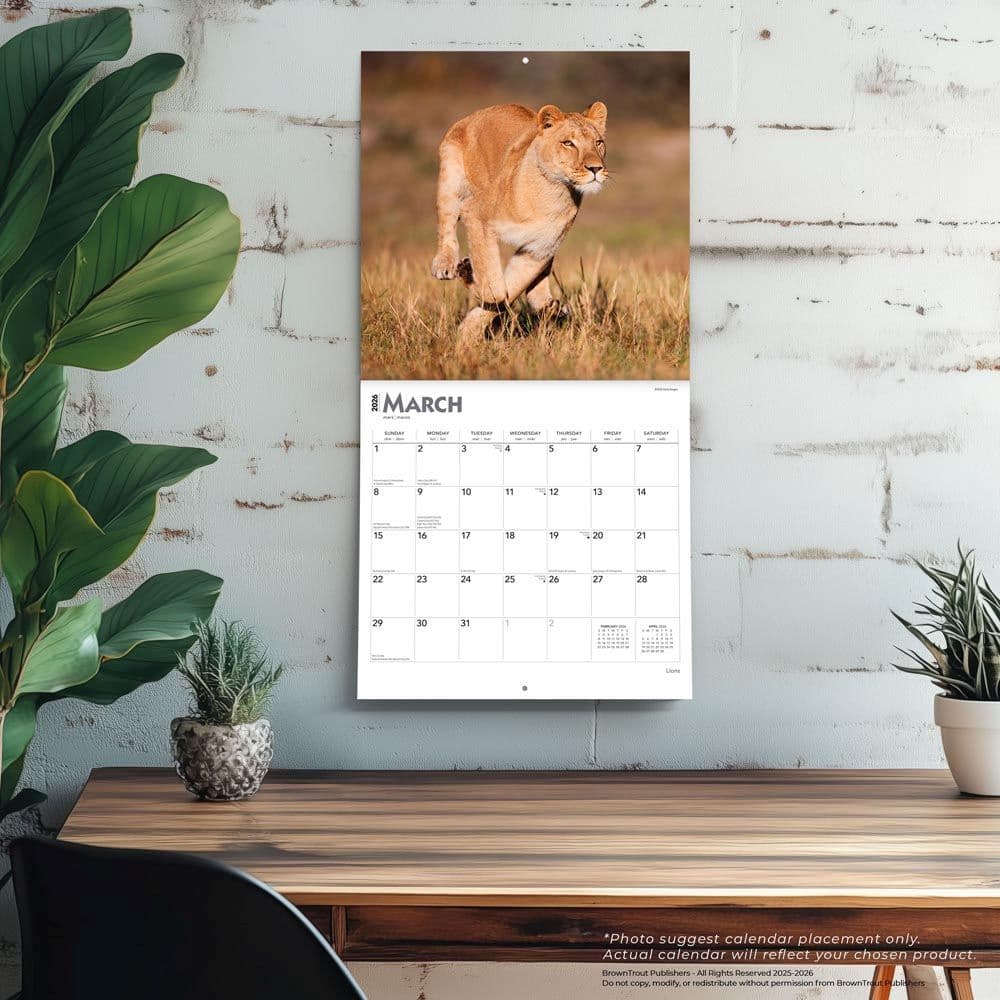 Lions 2026 Wall Calendar Fourth Alternate Image