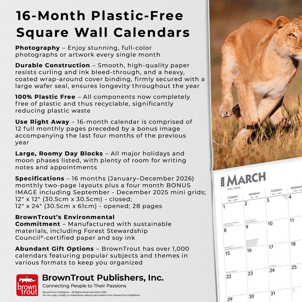 Lions 2026 Wall Calendar Fifth Alternate Image