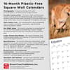 image Lions 2026 Wall Calendar Fifth Alternate Image