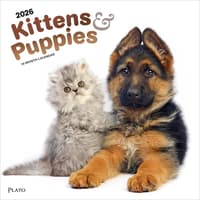 image Kittens And Puppies Plato 2026 Wall Calendar Main Product Image