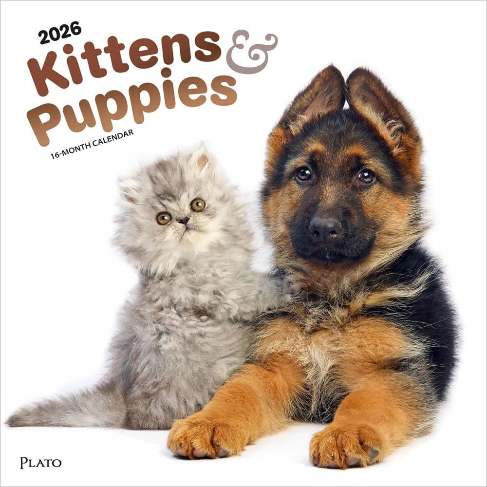 Kittens And Puppies Plato 2026 Wall Calendar Main Product Image