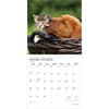 image Kittens And Puppies Plato 2026 Wall Calendar Second Alternate Image