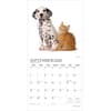 image Kittens And Puppies Plato 2026 Wall Calendar Third Alternate Image