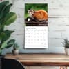 image Kittens And Puppies Plato 2026 Wall Calendar Fourth Alternate Image