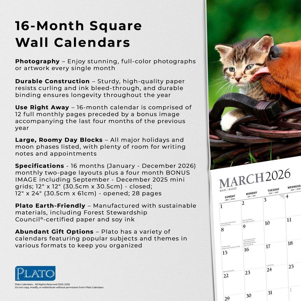 Kittens And Puppies Plato 2026 Wall Calendar Fifth Alternate Image