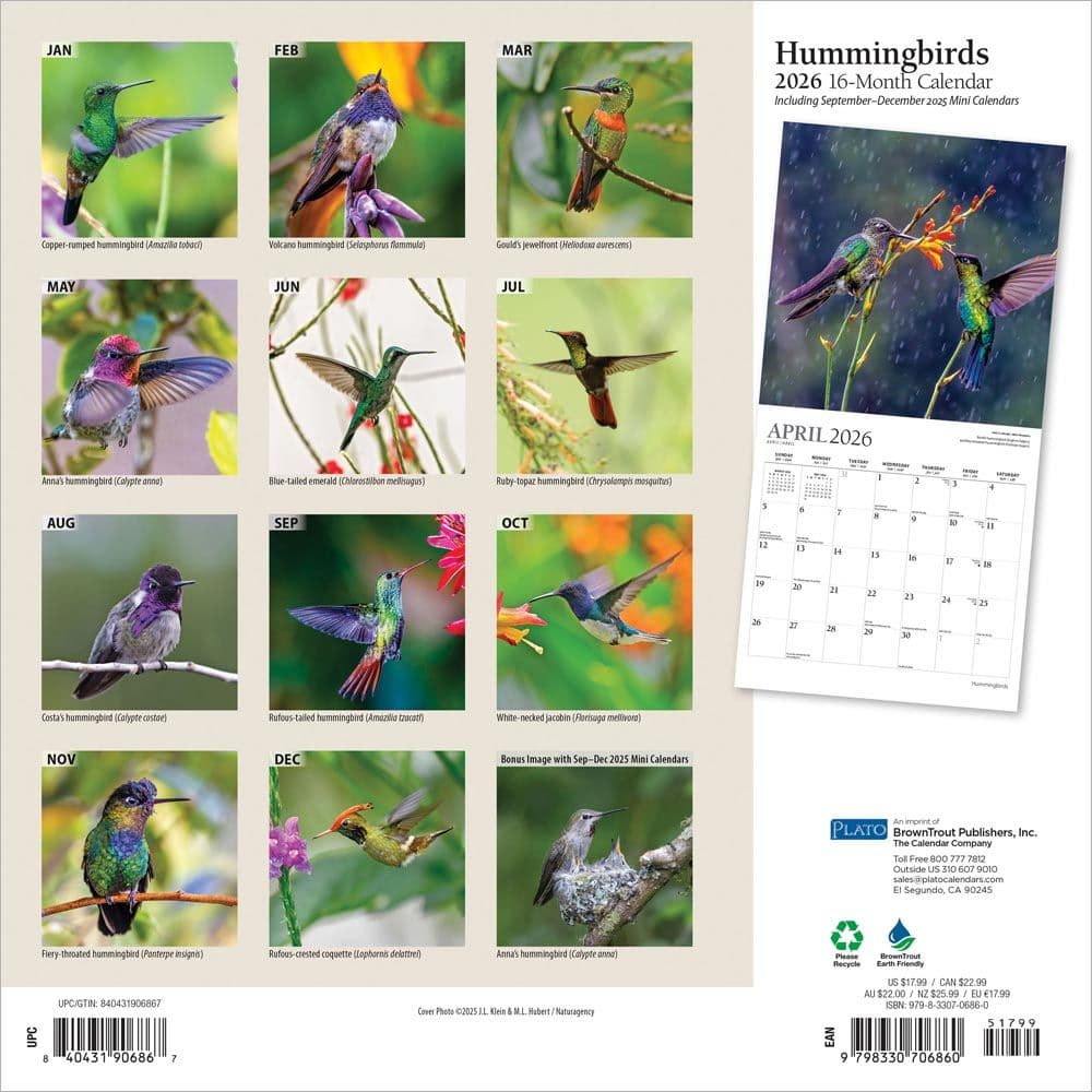 Hummingbirds Plato 2026 Wall Calendar First Alternate Image