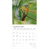 image Hummingbirds Plato 2026 Wall Calendar Second Alternate Image