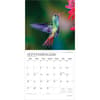 image Hummingbirds Plato 2026 Wall Calendar Third Alternate Image