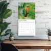 image Hummingbirds Plato 2026 Wall Calendar Fourth Alternate Image