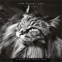 image Cat Regal Portrait Series 2026 Wall Calendar Main Product Image
