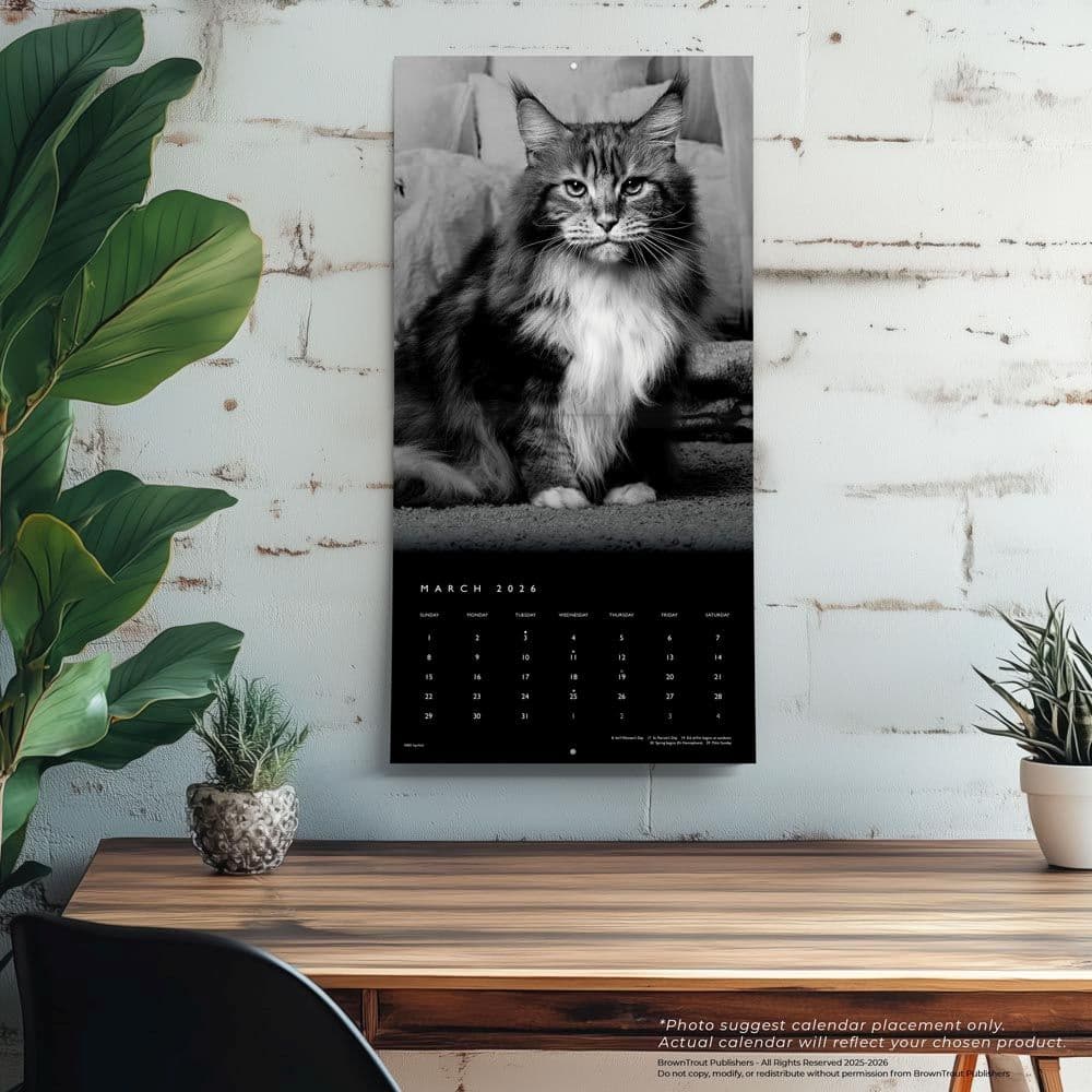 Cat Regal Portrait Series 2026 Wall Calendar Fourth Alternate Image