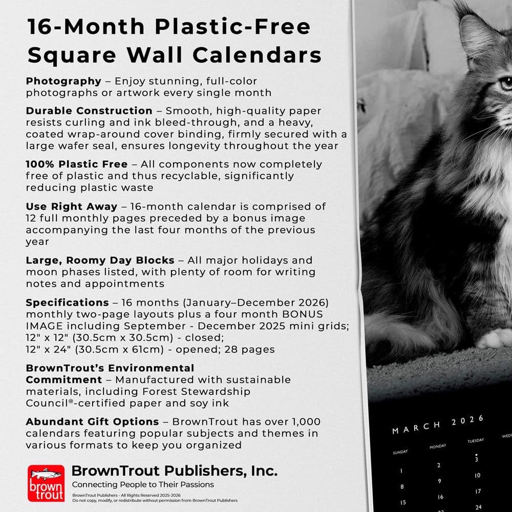 Cat Regal Portrait Series 2026 Wall Calendar Fifth Alternate Image