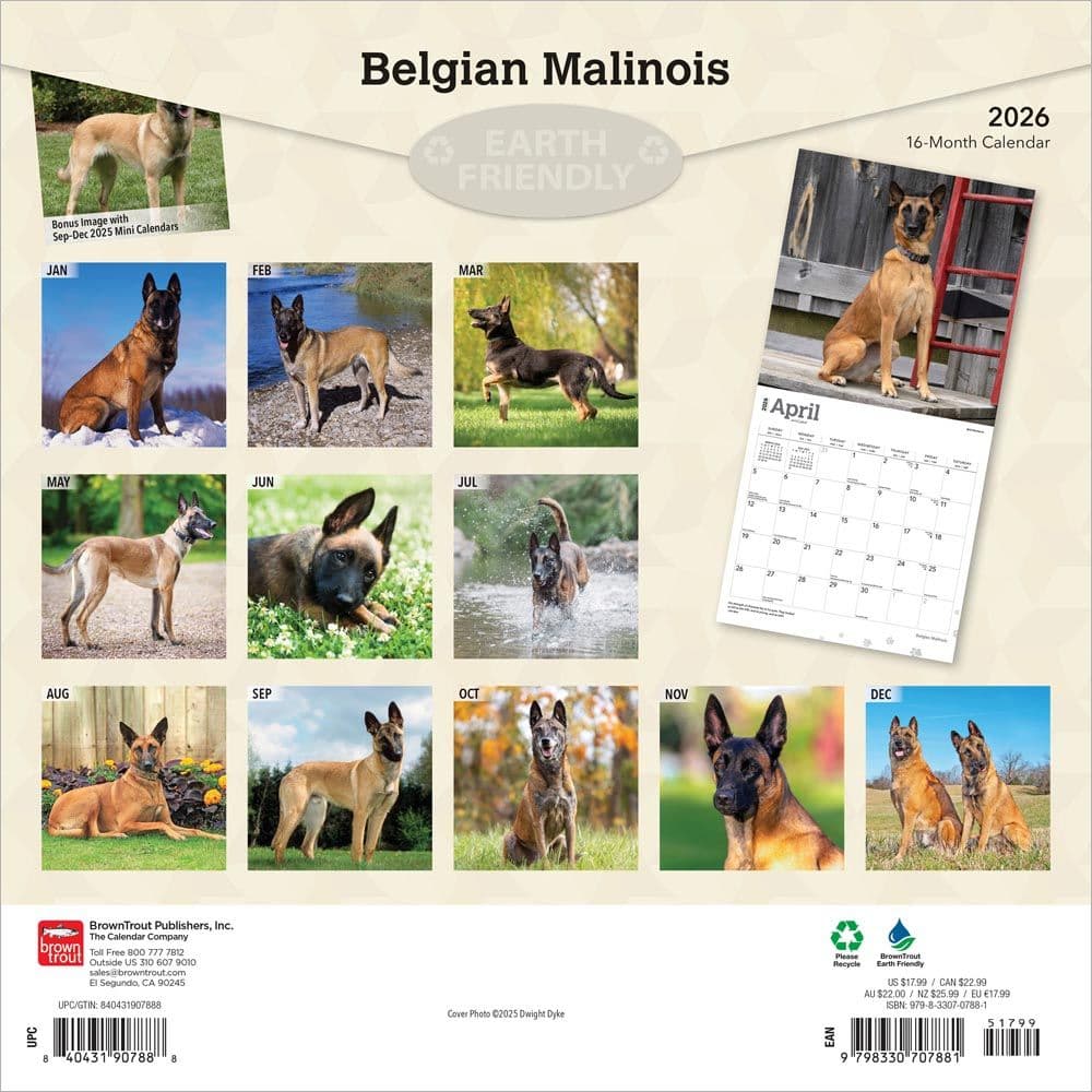 Belgian Malinois 2026 Wall Calendar First Alternate Image