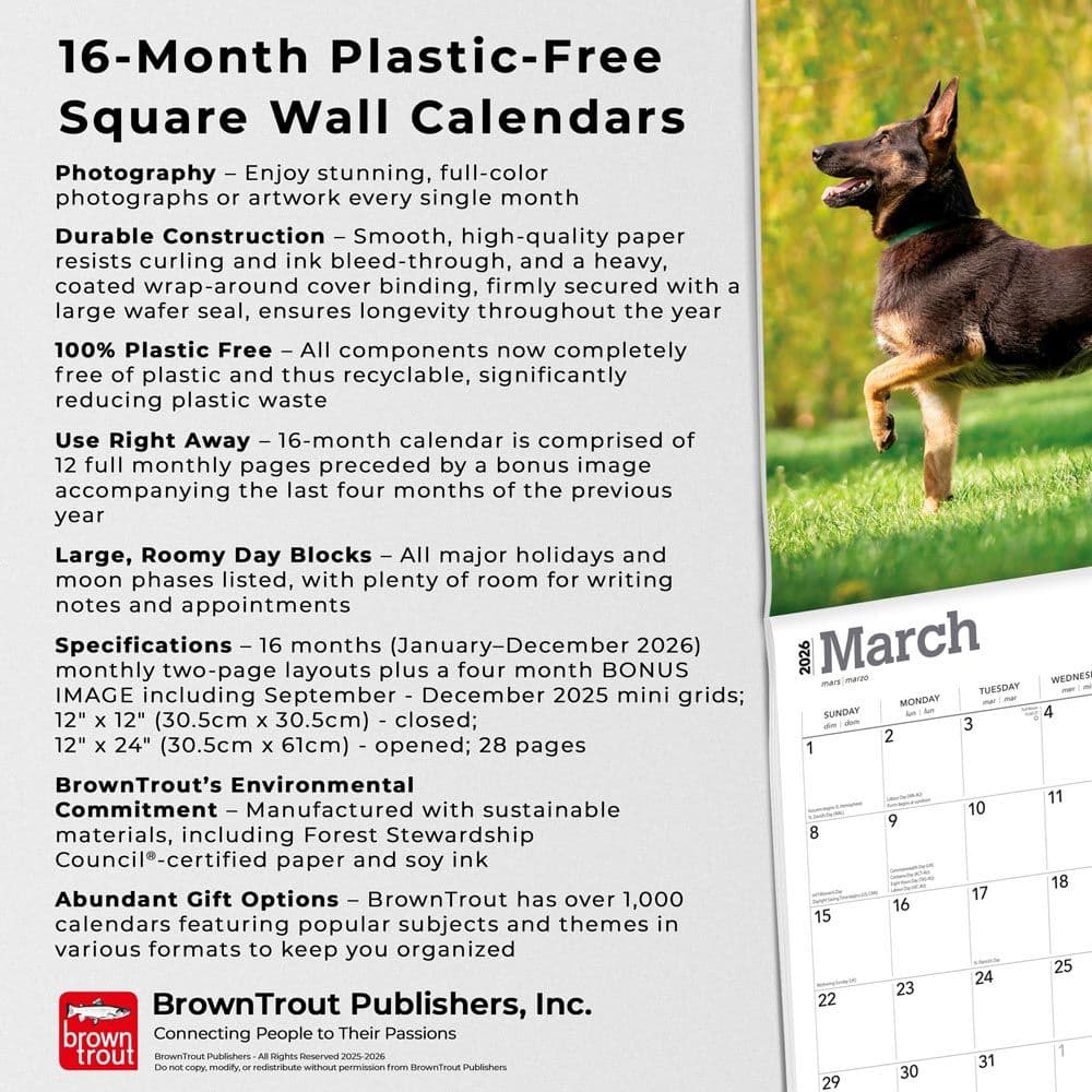 Belgian Malinois 2026 Wall Calendar Fifth Alternate Image