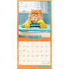 image Avanti Cranky Kitties Plato 2026 Wall Calendar Second Alternate Image