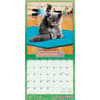 image Avanti Cranky Kitties Plato 2026 Wall Calendar Third Alternate Image