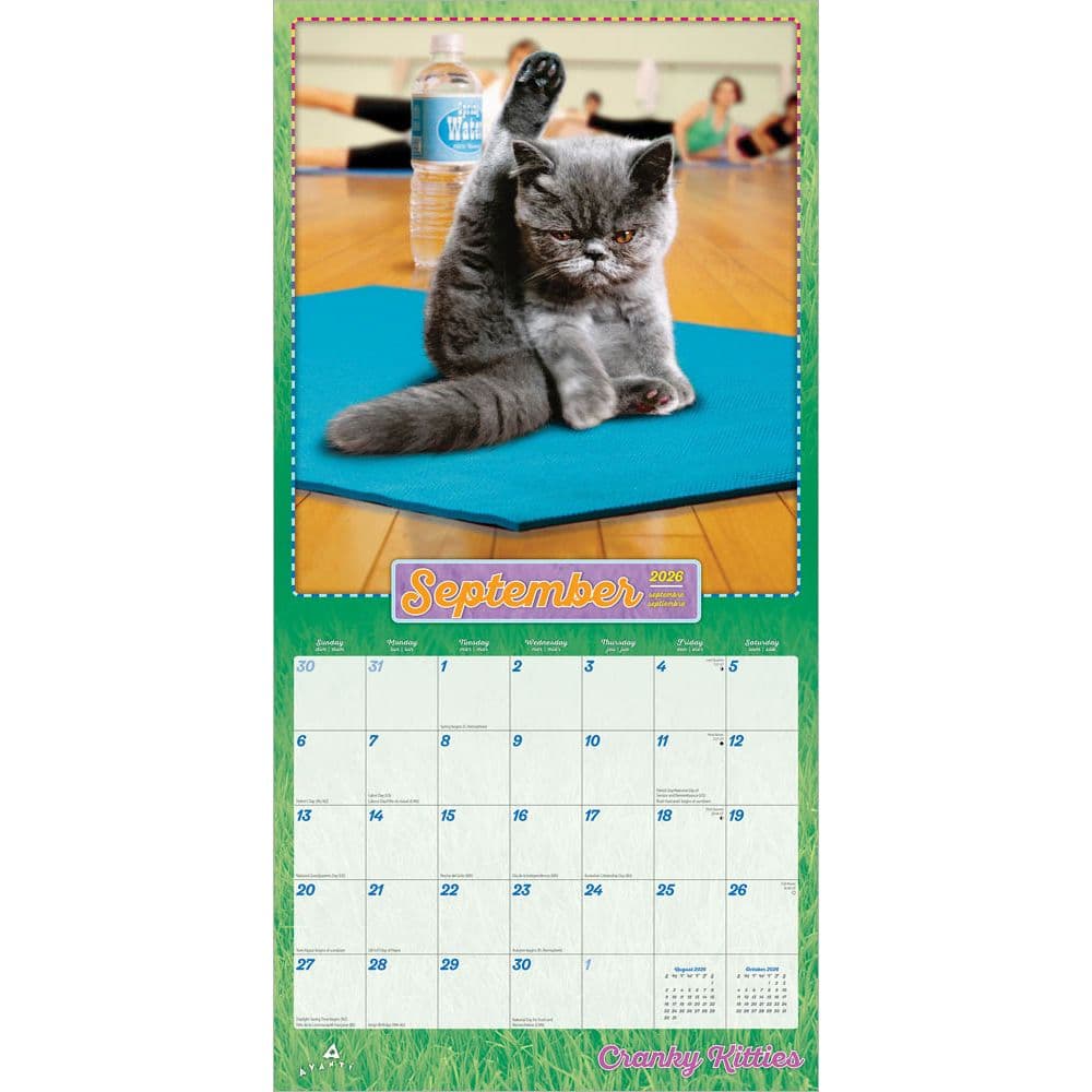Avanti Cranky Kitties Plato 2026 Wall Calendar Third Alternate Image