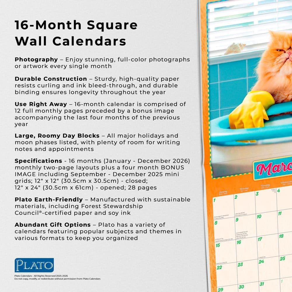 Avanti Cranky Kitties Plato 2026 Wall Calendar Fifth Alternate Image