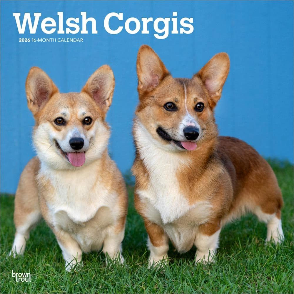 Welsh Corgis 2026 Wall Calendar Main Product Image