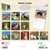 image Welsh Corgis 2026 Wall Calendar First Alternate Image