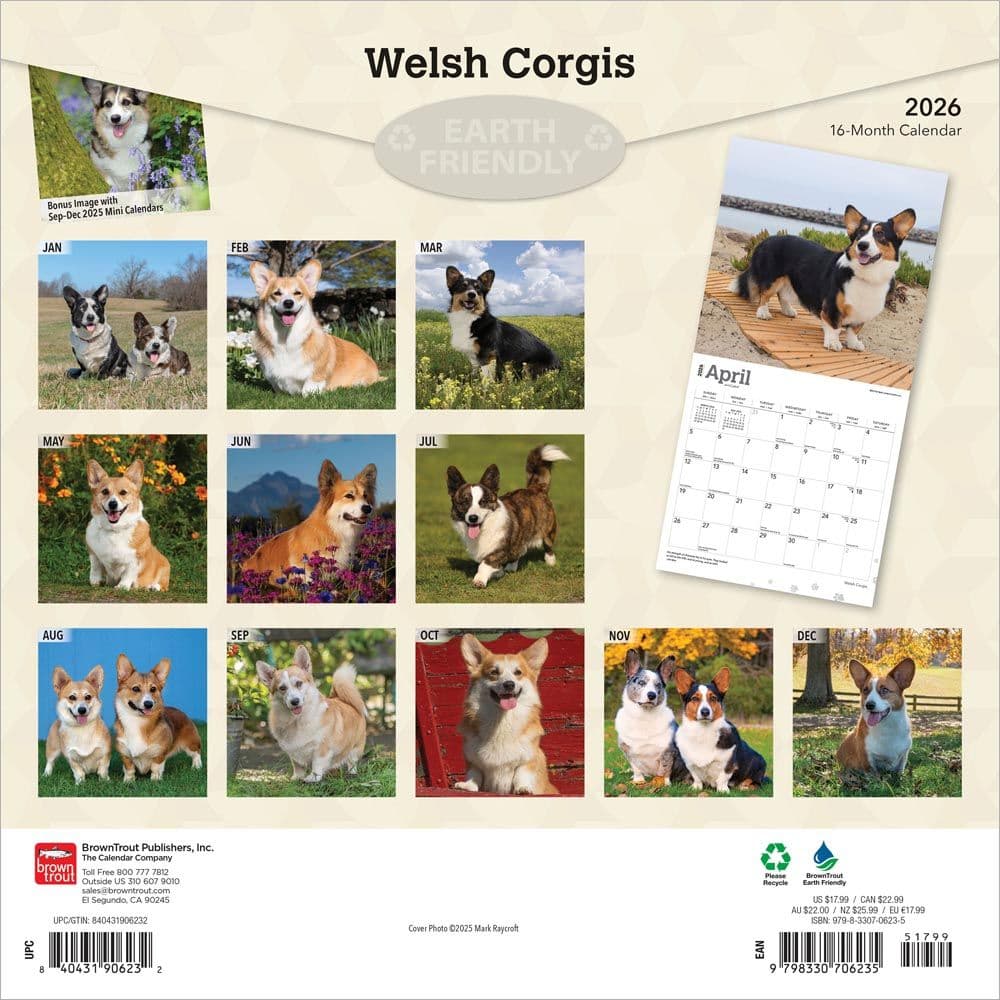 Welsh Corgis 2026 Wall Calendar First Alternate Image