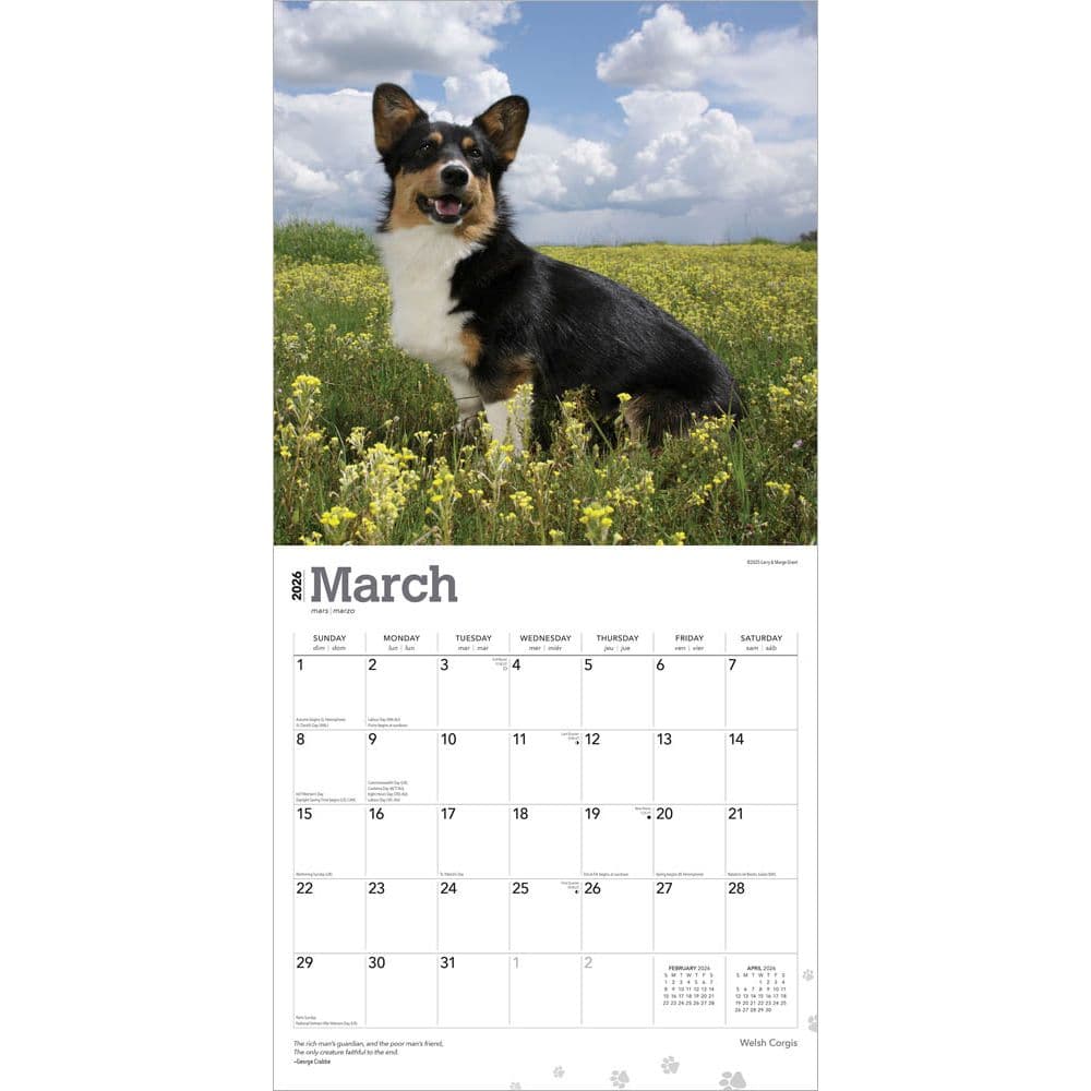 Welsh Corgis 2026 Wall Calendar Second Alternate Image