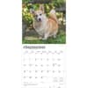 image Welsh Corgis 2026 Wall Calendar Third Alternate Image