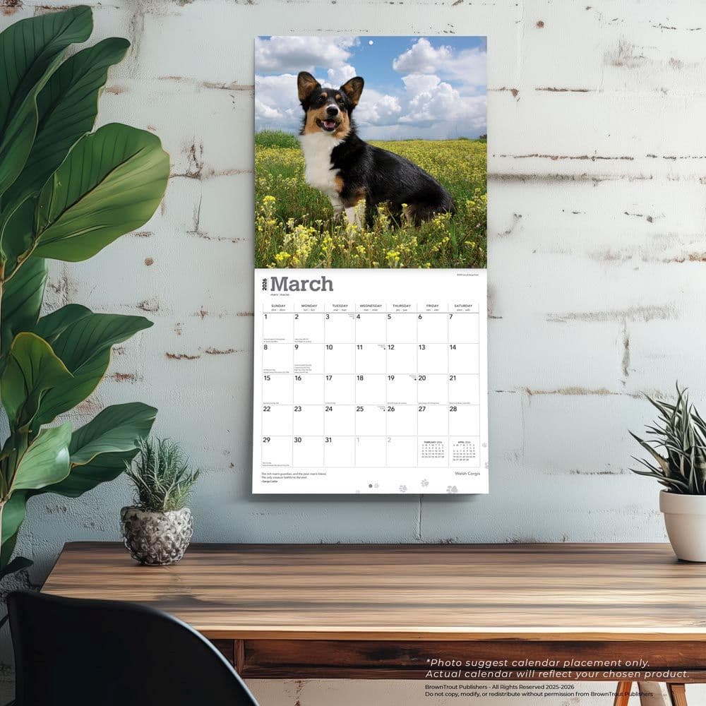 Welsh Corgis 2026 Wall Calendar Fourth Alternate Image
