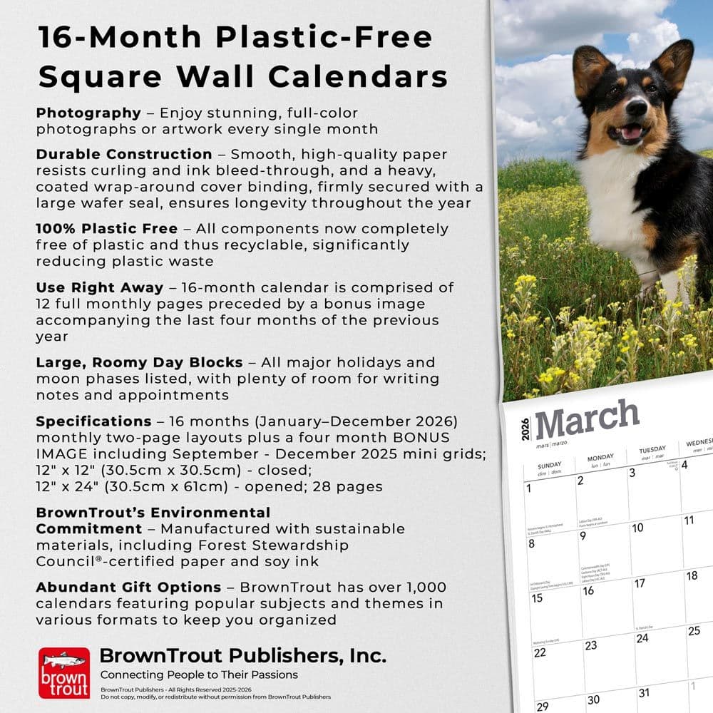 Welsh Corgis 2026 Wall Calendar Fifth Alternate Image