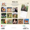 image Shiba Inu 2026 Wall Calendar First Alternate Image
