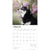 image Shiba Inu 2026 Wall Calendar Second Alternate Image