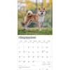 image Shiba Inu 2026 Wall Calendar Third Alternate Image