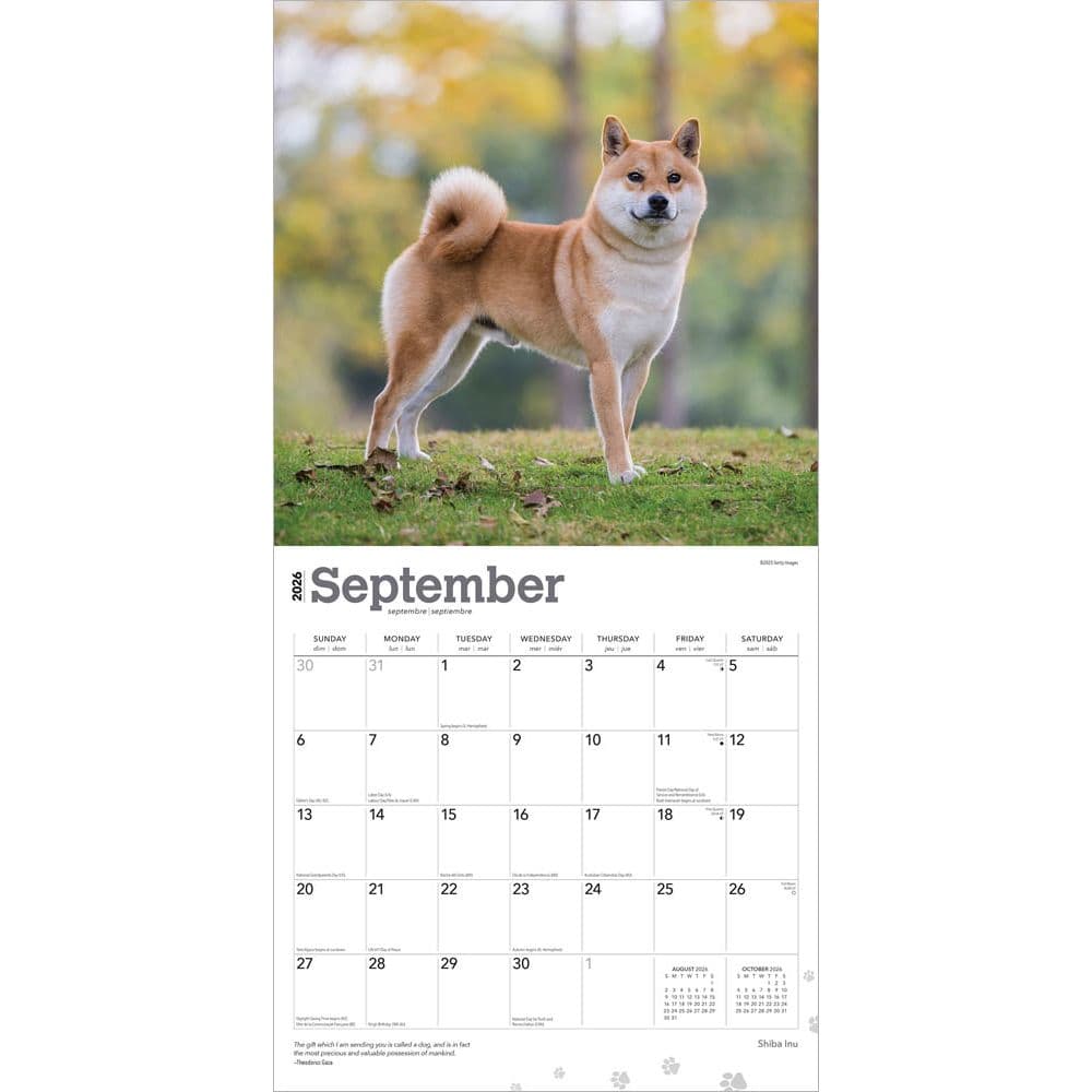 Shiba Inu 2026 Wall Calendar Third Alternate Image