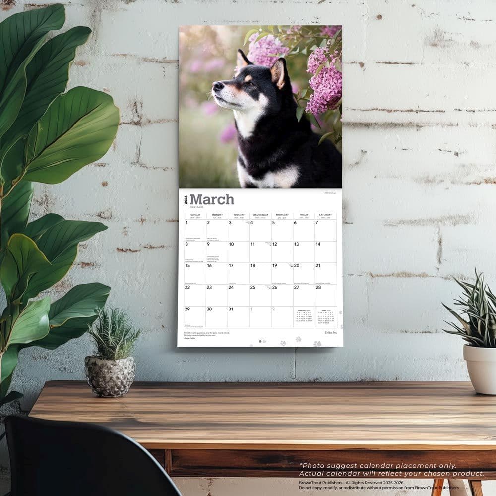 Shiba Inu 2026 Wall Calendar Fourth Alternate Image