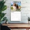 image Shetland Sheepdogs 2026 Wall Calendar Fourth Alternate Image