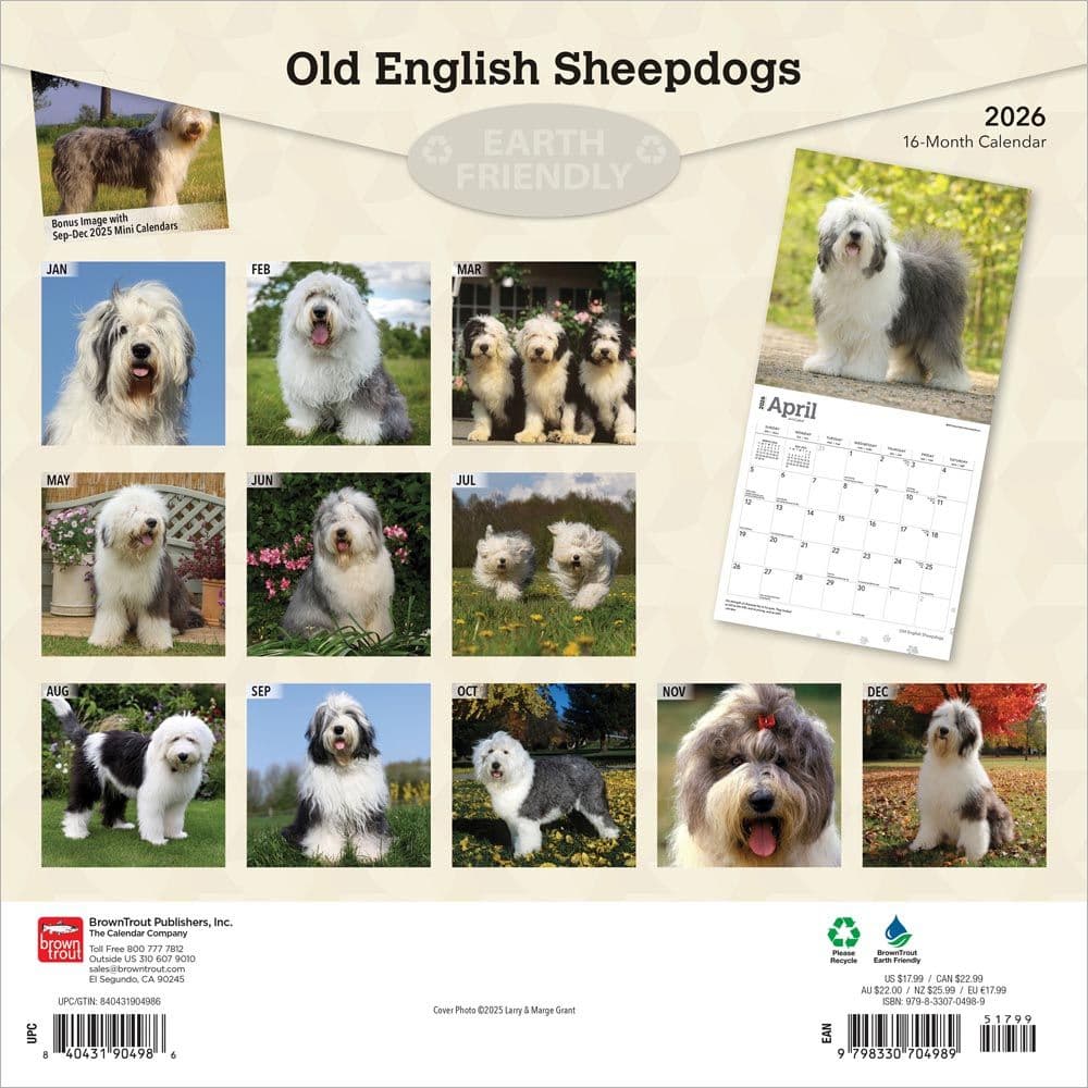 Old English Sheepdogs 2026 Wall Calendar First Alternate Image