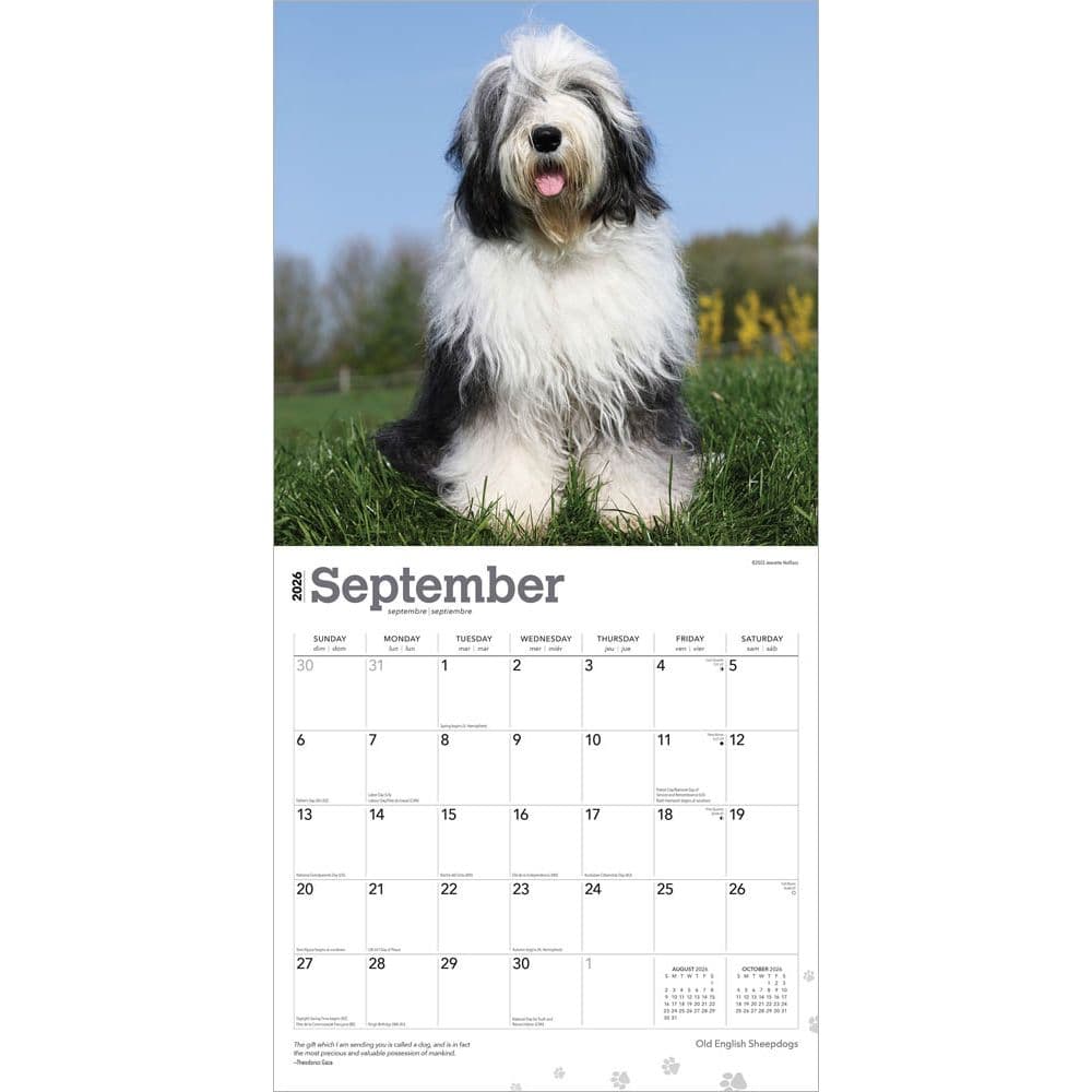 Old English Sheepdogs 2026 Wall Calendar Third Alternate Image
