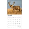 image Monster Bucks 2026 Wall Calendar Second Alternate Image