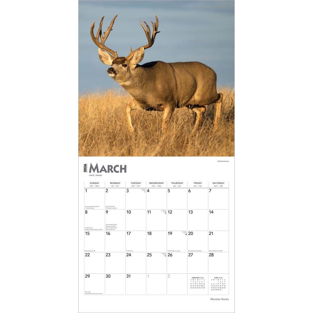 Monster Bucks 2026 Wall Calendar Second Alternate Image