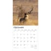image Monster Bucks 2026 Wall Calendar Third Alternate Image