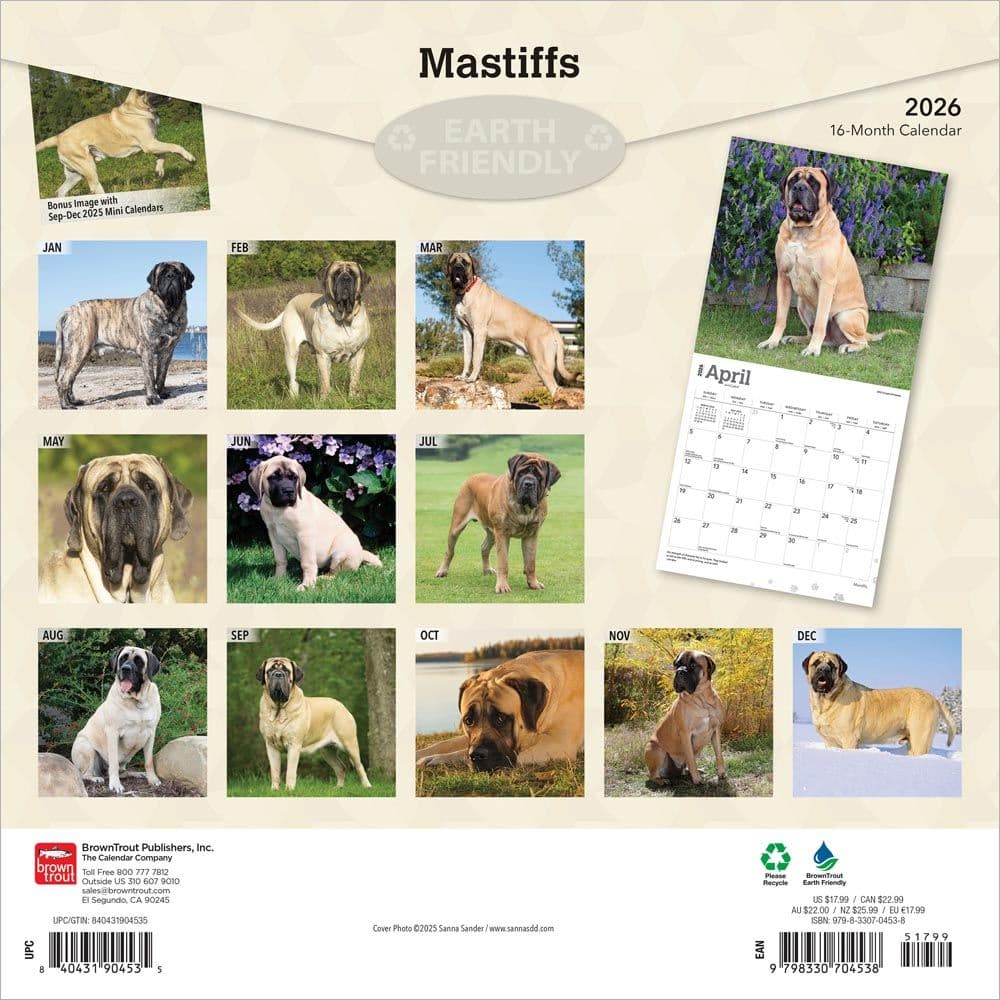 Mastiffs 2026 Wall Calendar First Alternate Image